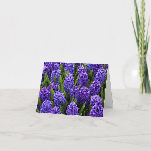 Blue Hyacinth Feiertagskarte (Vorderseite)