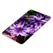 Blue Hyacinth I Spring Floral Magnet (Linke Seite)