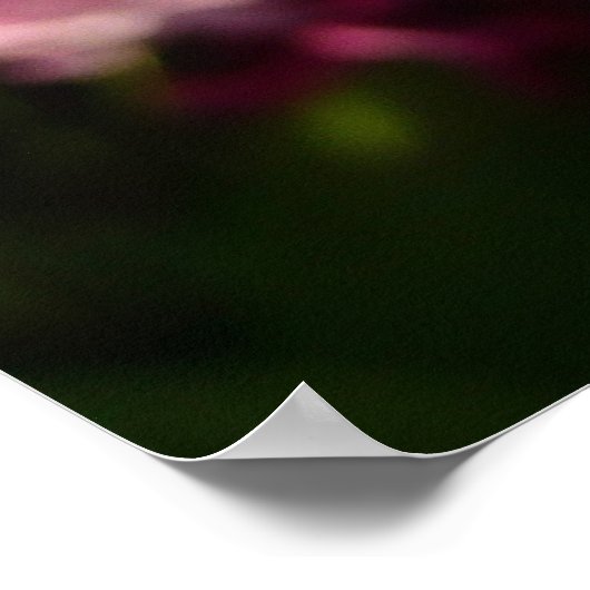 Blue Hyacinth I Spring Floral Poster (Ecke)