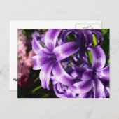 Blue Hyacinth I Spring Floral Postkarte (Vorne/Hinten)