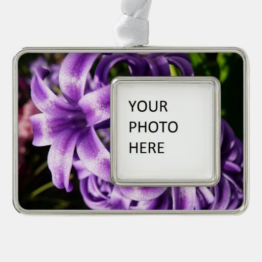 Blue Hyacinth I Spring Floral Rahmen-Ornament Silber (Vorderseite)