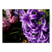 Blue Hyacinth II Spring Floral (Vorderseite (Horizontal))
