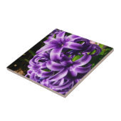 Blue Hyacinth II Spring Floral Fliese (Seite)