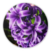 Blue Hyacinth II Spring Floral Keramikknauf (Vorderseite)