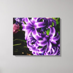 Blue Hyacinth II Spring Floral Leinwanddruck