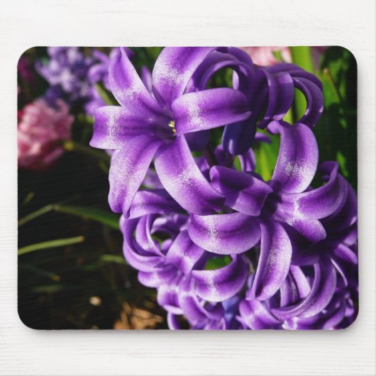 Blue Hyacinth II Spring Floral Mousepad (Vorne)