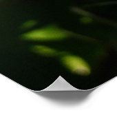 Blue Hyacinth II Spring Floral Poster (Ecke)