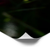 Blue Hyacinth II Spring Floral Poster (Ecke)