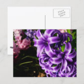Blue Hyacinth II Spring Floral Postkarte (Vorne/Hinten)