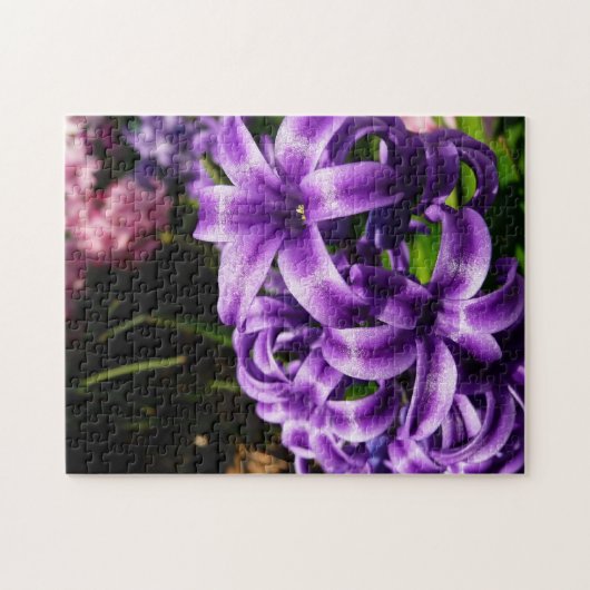 Blue Hyacinth II Spring Floral Puzzle (Horizontal)