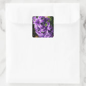 Blue Hyacinth II Spring Floral Quadratischer Aufkleber (Tasche)