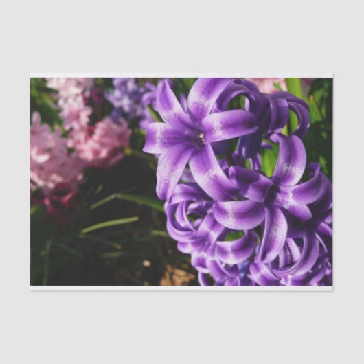 Blue Hyacinth II Spring Floral Seidenpapier (Vorderseite)