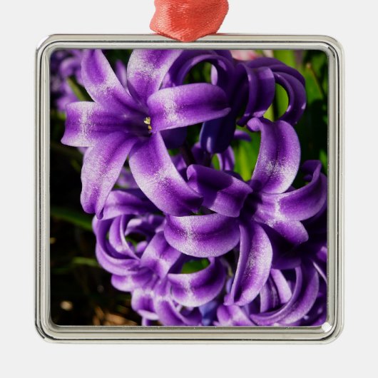 Blue Hyacinth II Spring Floral Silbernes Ornament (Vorne)
