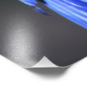 Blue Hyacinth Macaw Fotodruck (Ecke)