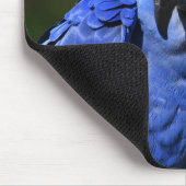 Blue Hyacinth Macaw Mousepad (Ecke)