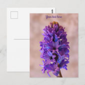 Blue Hyacinth Postcard Postkarte (Vorne/Hinten)