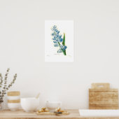 Blue Hyacinth Poster (Küche)