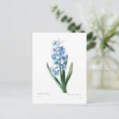 Blue Hyacinth Postkarte (Stehend Vorderseite)