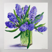 Blue Hyacinths Poster (Vorne)