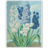 Blue Hyacinths Vintag Botanische Kunst Aufkleber (Vorderseite)