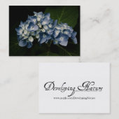 Blue Hydrangea 8514 Mini Print Visitenkarte (Vorne/Hinten)