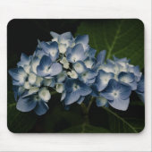 Blue Hydrangea 8514 Mousepad (Vorne)