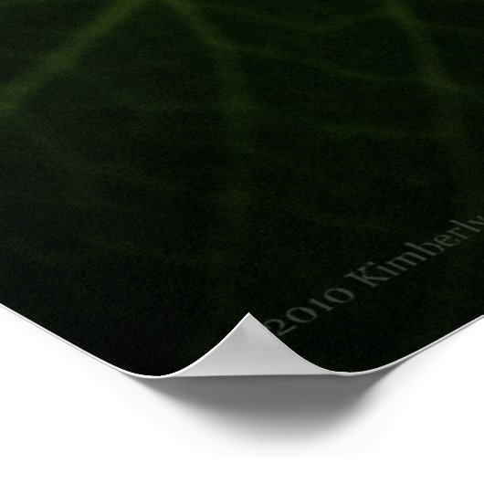 Blue Hydrangea 8514 Print Poster (Ecke)