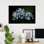 Blue Hydrangea 8514 Print Poster (Heimbüro)