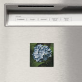 Blue Hydrangea 8515 Magnet (In Situ (Geschirrspüler))