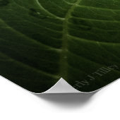 Blue Hydrangea 8515 Print Poster (Ecke)