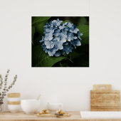 Blue Hydrangea 8515 Print Poster (Küche)