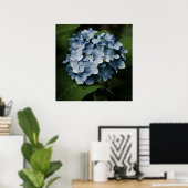 Blue Hydrangea 8515 Print Poster (Heimbüro)