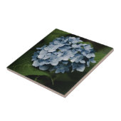 Blue Hydrangea 8515 Tile Fliese (Seite)