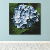 Blue Hydrangea 8515 Wrapped Canvas Leinwanddruck (Insitu (Holzboden))