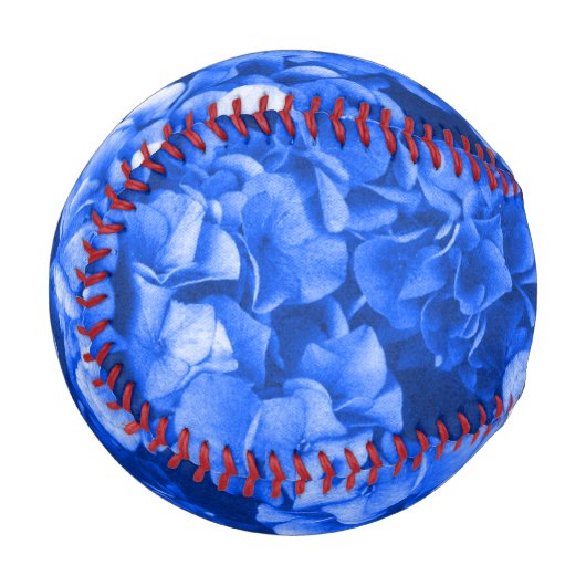 Blue Hydrangea Baseball (Vorderseite Links)