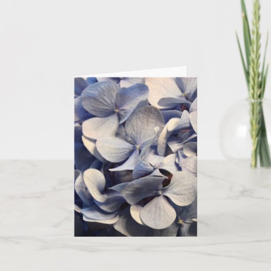 Blue Hydrangea Blank Notecards Karte (Vorderseite)