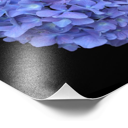 Blue Hydrangea Bloom Foto (Ecke)