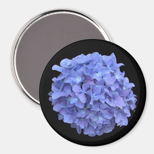 Blue Hydrangea Bloom Magnet (Vorderseite/Rückseite)