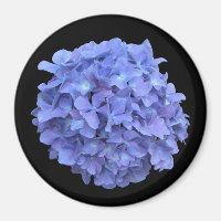 Blue Hydrangea Bloom Magnet