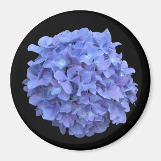 Blue Hydrangea Bloom Magnet
