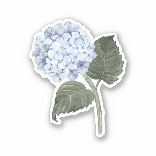 Blue Hydrangea Bloom Vinyl Sticker (Vorderseite)