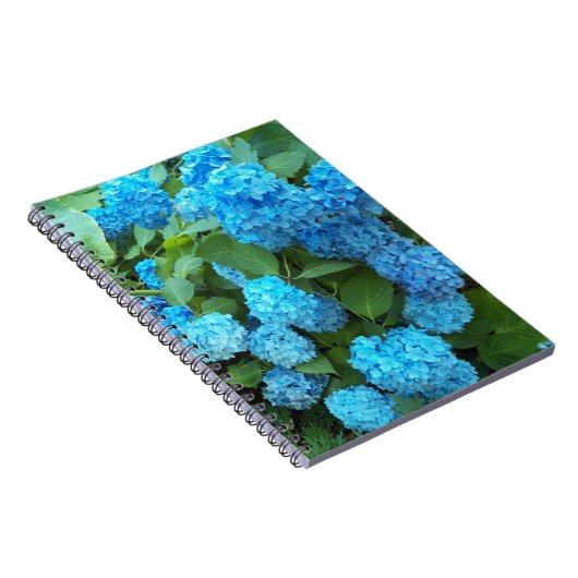 Blue Hydrangea Blooms Floral Notizblock (Rechte Seite)