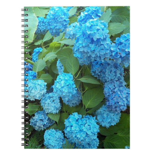 Blue Hydrangea Blooms Floral Notizblock (Vorderseite)