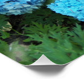 Blue Hydrangea Blooms Floral Poster (Ecke)