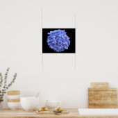 Blue Hydrangea Blossom Poster (Küche)