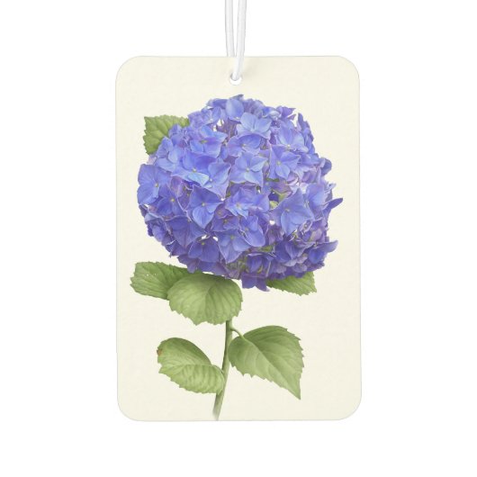 Blue Hydrangea Blume Botanische Kunst Design Autolufterfrischer (Rückseite)