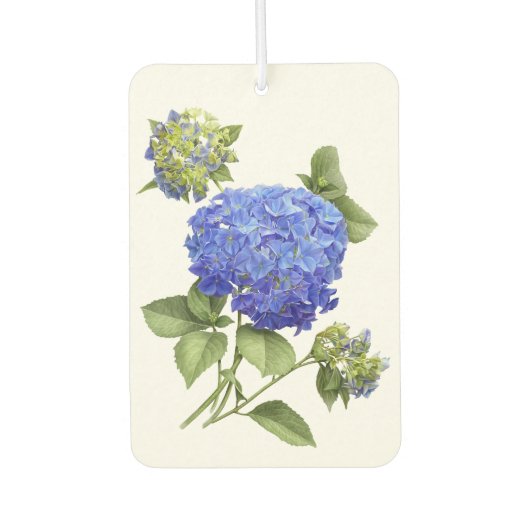 Blue Hydrangea Blume Botanische Kunst Design Autolufterfrischer (Vorderseite)
