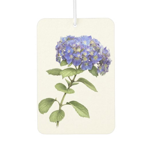 Blue Hydrangea Blume Botanische Kunst Design Autolufterfrischer (Vorderseite)