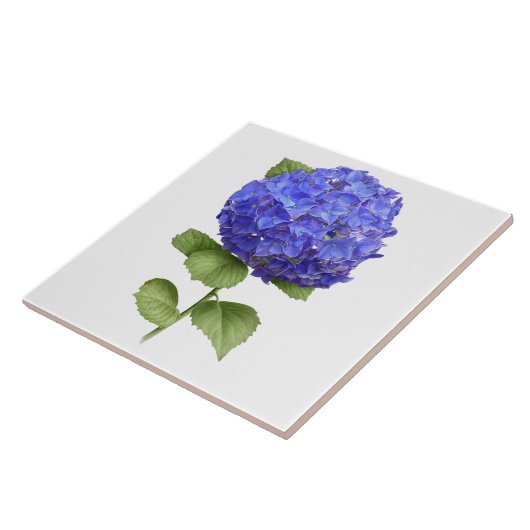 Blue Hydrangea Blume Botanische Kunst Fliese (Seite)