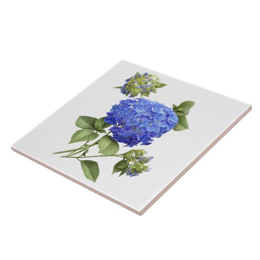 Blue Hydrangea Blume Botanische Kunst Fliese (Seite)